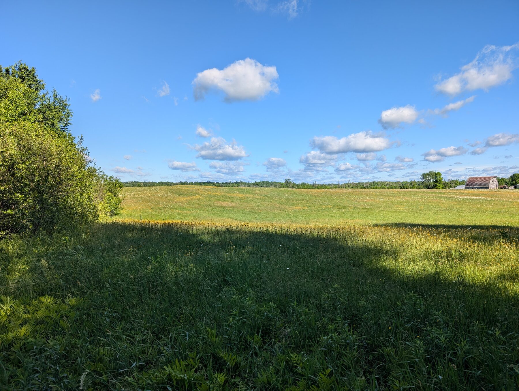 View from the driveway