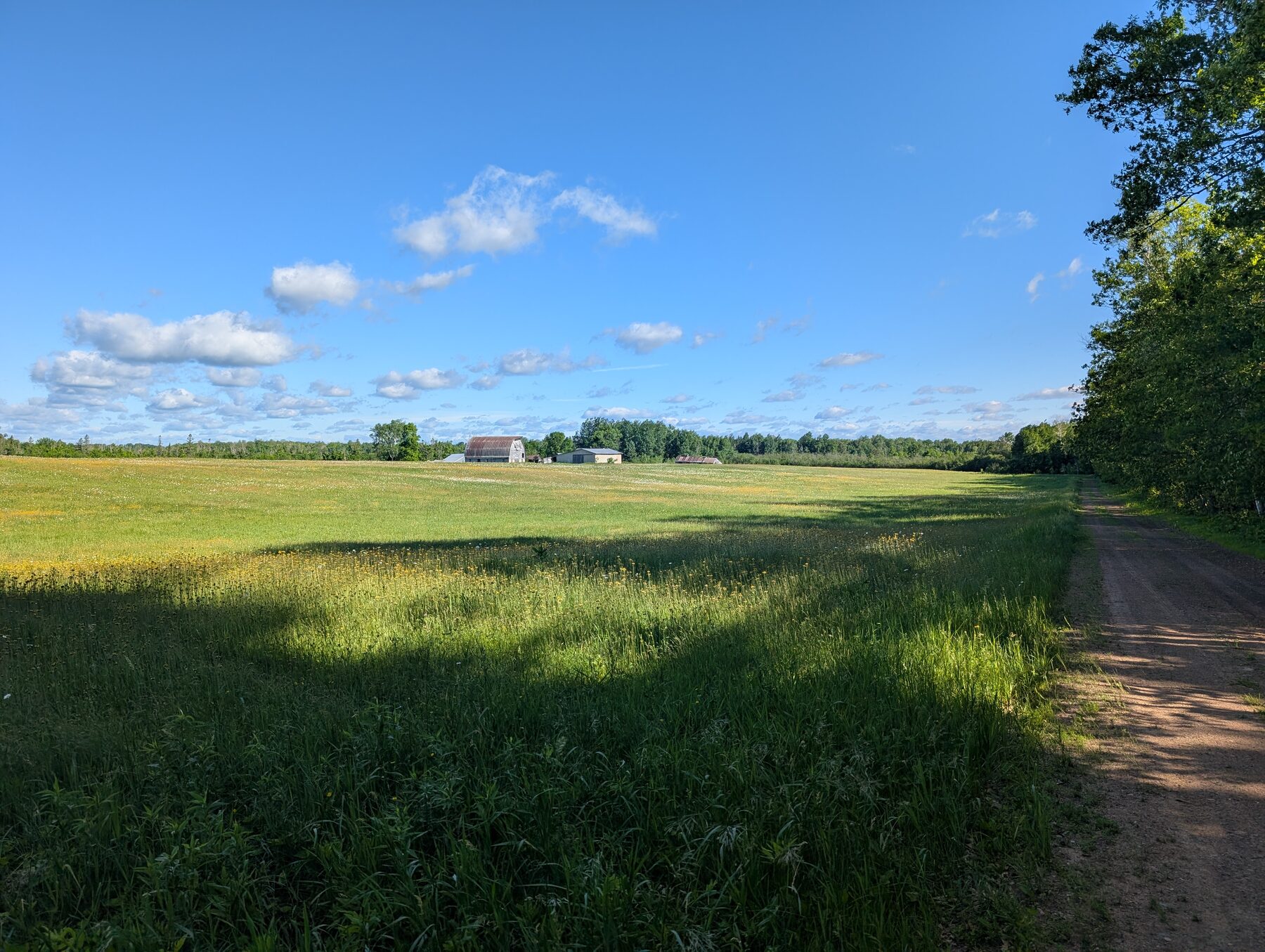 Road to the farm